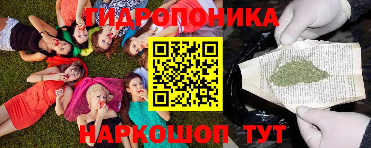 Каннабис план Тайшет